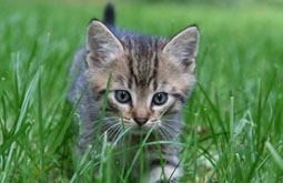 © Helena - fotolia.com