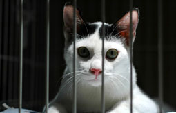 © ThyeAun Ngo - fotolia.com